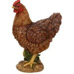 Poule pm marron