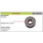 Poulie pour motoculteur pgt 4018 progreen 040783