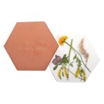 Presse � fleurs et herbes en terre - cuite pour le micro - ondes - terracotta - l 19, 4 x p 17, 1 x h ...