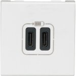 Prise double usb type - c mosaic 3a 2 modules - blanc - legrand