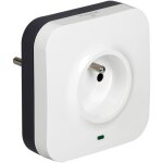 Prise prot�g�e 2p + t + 2 prises rj45 avec parafoudre (050670)
