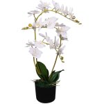 Prolenta premium - furniture limited - plante artificielle avec pot orchide 65 cm b