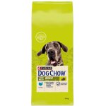 Purina dog chow adulte grande race dinde 14kg