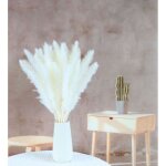 Qiyao - fleurs sech�es, roseau s�ch�e naturelle, 15 pi�ces pampa naturelle roseaux s�ch�s bouquet fleurs ...