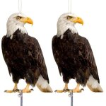 Rabais de ddouanement 1572% anti pigeon pour balcon, repulsif pigeon, effaroucheur oiseaux, effaroucheur ...