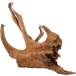 Racine naturelle mangrove 40 / 60 cm