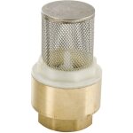 Rain - cr�pine femelle en laiton avec clapet et tamis