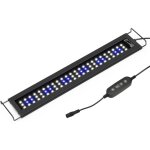 Rampe led aquarium avec fonction minuterie, lumires blanches et bleues rglables, clairage aquarium ...
