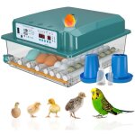 Couveuse oeuf automatique 24 - 36 oeufs, incubateur oeuf automatique, retournement automatique des ?ufs ...