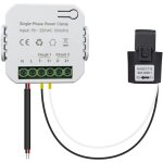 Rapanda - ouvre - porte de garage wifi, contr�le app, t�l�commande, prend en charge alexa google home, ...