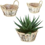 Pot de fleurs, lot 3, bois, bacs avec poignes, 3 tailles, cache - pots pour intrieur & extrieur, blanc ...