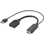 Rf - 4777274 hdmi / displayport cble adaptateur [1x hdmi mle, usb 2. 0 type a mle - 1x displayport ...