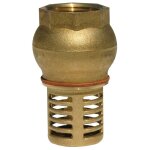 Renson - clapet de pied + crepine laiton femelle 2''