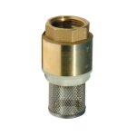 Renson - crepine clapet laiton 1''1 / 2 avec crepine inox package