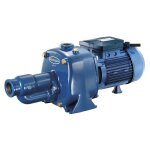 Renson - pompe 230v fonte 1, 65kw bicellulaire - rcm200p Renson - pompe 230v fonte 1, 65kw bicellulaire - rcm200p