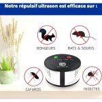 Répulsif ultrason 360° anti rats, souris, rongeurs, cafards et insectes. fréquences variables puissantes, ... Répulsif ultrason 360° anti rats, souris, rongeurs, cafards et insectes. fréquences variables puissantes, ...