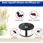 Rpulsif ultrason 360 anti rats, souris, rongeurs, cafards et insectes. frquences variables puissantes, ...