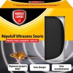 Protect expert - ultrasou - ultrason souris - r�pulsif � ondes pour souris - sans accoutumance - repousse ...