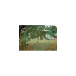 Filet de protection pour culture 2x5