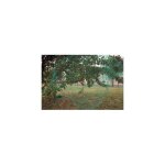 Filet de protection pour culture 5x5