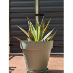 Riviera - jardini�re ronde soleilla - plastique - diam�tre 50 cm - vert argile