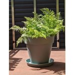 Riviera - jardinire ronde soleilla - plastique - diamtre 60 cm vert argile