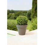 Riviera - pot de fleurs soleilla - rond - � 60 x 53, 6 cm - gris paillet�