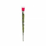Rose en tige stabilis�e coloris fuschia