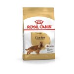 Adult cocker - nourriture sche pour chien - 12 kg - royal canin