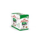 Royal canin mini aging 12 + nourriture humide pour petits chiens seniors 12 x 85 g