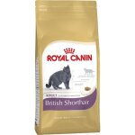 Royal canin - british shorthair chat adulte nourriture s�che 4 kg