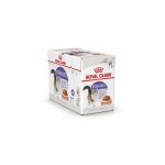 Royal canin - strilise 85g (salsa) pour chats adultes striliss - 12 enveloppes 85g