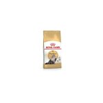 Croquettes chat royal canin persan : 4 kg