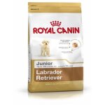 Royal canin - croquettes pour chien shn race labrador junior - 12 kg