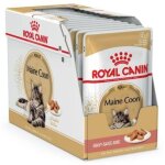 Royal canin fbn maine coon 12x85 g
