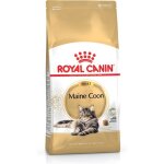 Royal canin - fbn maine coon adult - nourriture sche pour chat adulte - 4kg