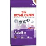 Royal canin - giant adult - nourriture s�che pour chien - 15 kg