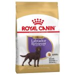 Royal canin - labrador retriever strilise pour chiens labratants striliss - 12 kg Royal canin - labrador retriever strilise pour chiens labratants striliss - 12 kg