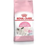 Royal canin - mre & nourriture sche pour chats babycat 2 kg