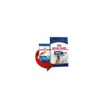 Croquettes chien royal canin maxi mature : 4 kg Croquettes chien royal canin maxi mature : 4 kg