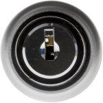 Rs pro - interrupteur � cl� 2 positions 1rt, vis, 6a 22mm ( prix pour 1 )