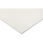 Rs pro - plaque pc incolore, 305mm x 625mm x 2mm ( prix pour lot de 2 )