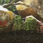 Sable pour aquarium 25 kg noir 0, 2 - 2 mm vidaxl