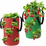 Sac plante non tiss�, sac plante fraise respirant, sac plantation suspendu, sac culture fraises, sac ...
