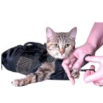 Sac de retenue de bain de toilette pour chat pour la coupe des ongles de griffes - ensoleill�