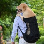 Sac de transport r�glable pour chien en maille respirante pour chiots et chiens de plein air sac � dos ...