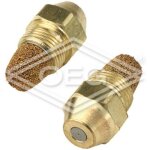 Gicleur delavan 1, 75 - 30 b