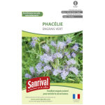Graines phaclie engrais vert