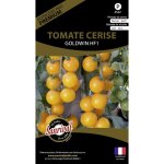 Graines potagres premium tomate cerise jaune goldwin