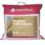 Blanreve lot de 2 oreillers - 60x60 cm